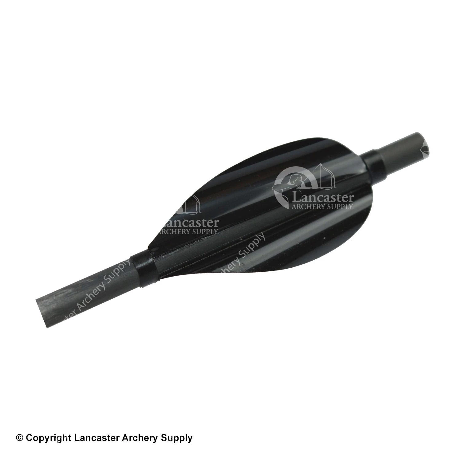 Kurly Vanes - Image 12