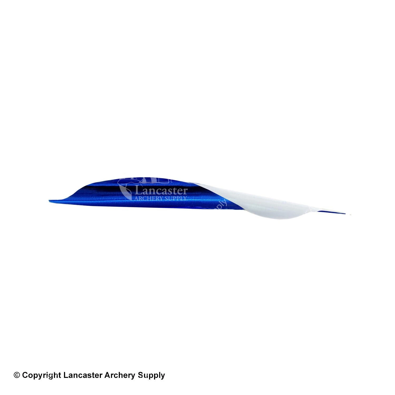 Spider Vanes 2-3/4" Invictus Vanes For Compound - Image 5