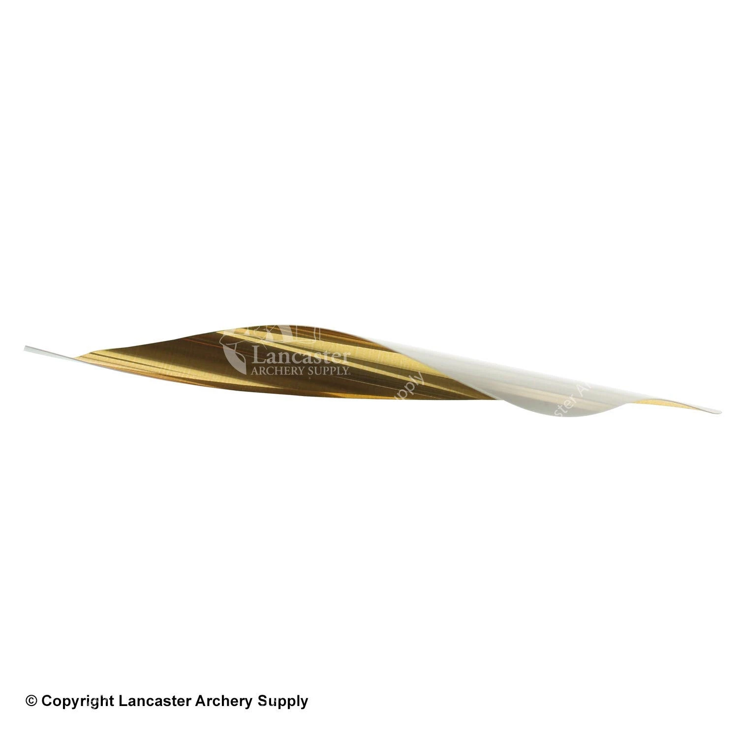 Spider Vanes 2-3/4" Invictus Vanes For Compound - Image 3