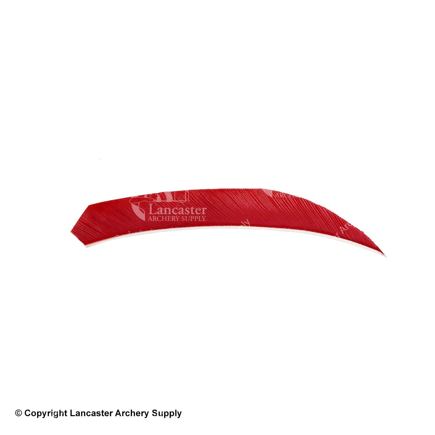 Ozark 4.5" Target Maxx Solid Color Feather - Image 9