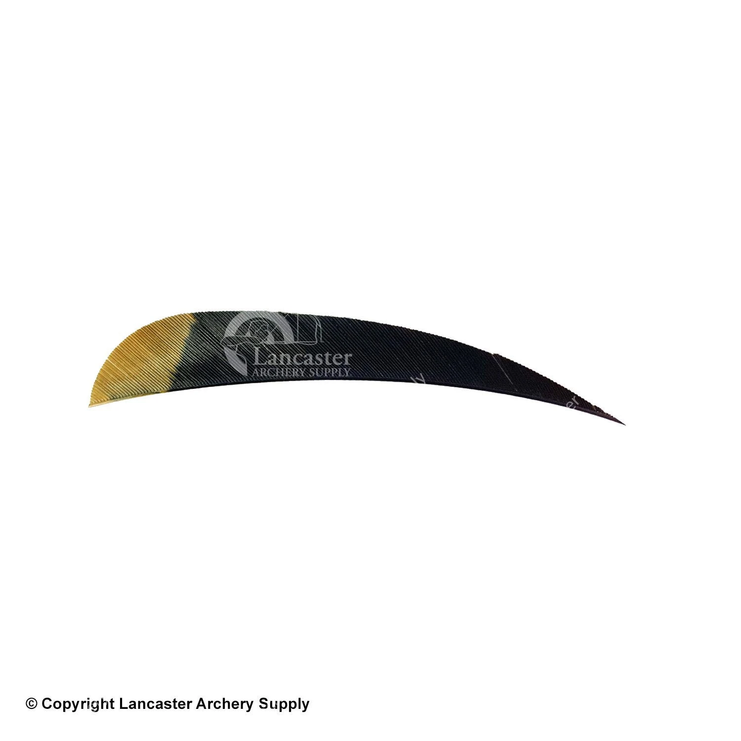 Ozark Eagle Tips 4" Parabolic Feather - Image 3