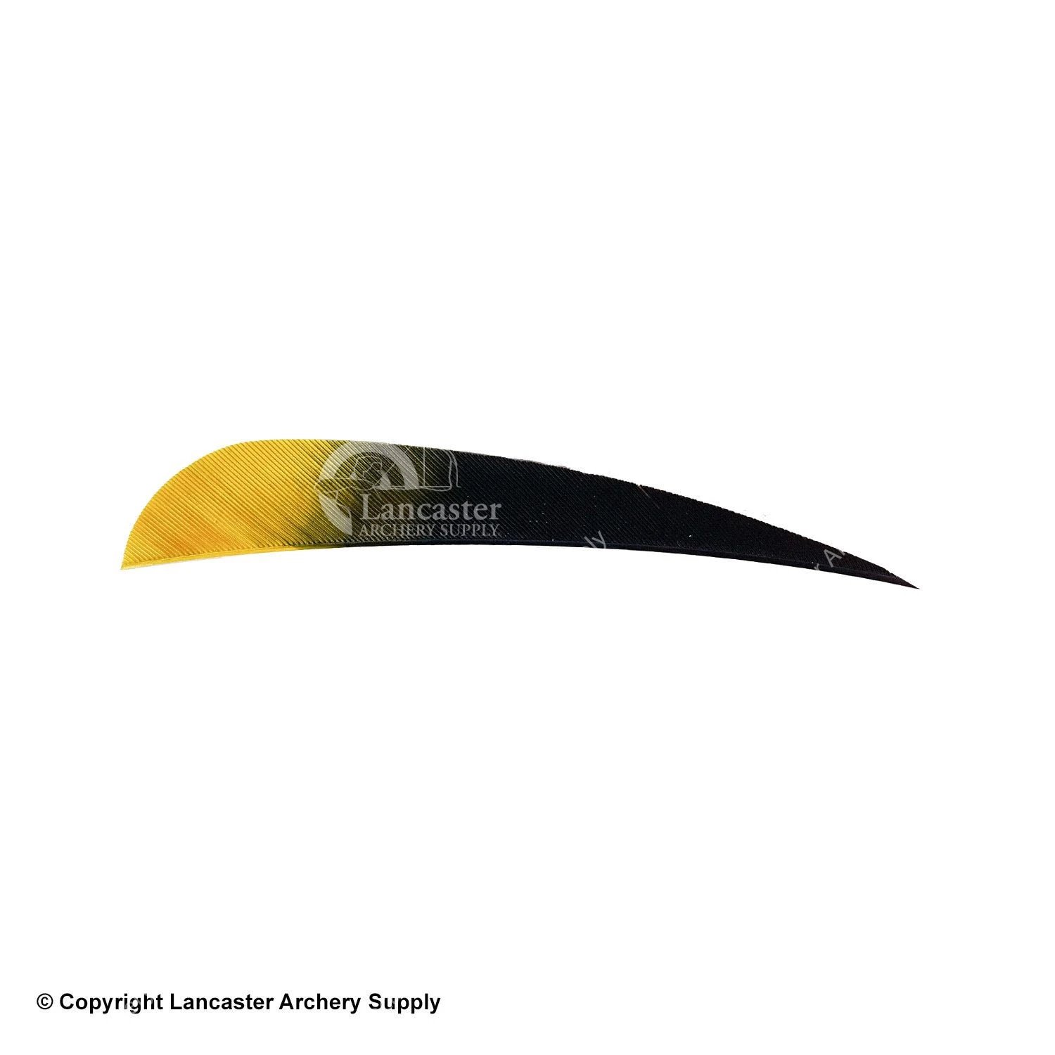 Ozark Eagle Tips 4" Parabolic Feather - Image 4