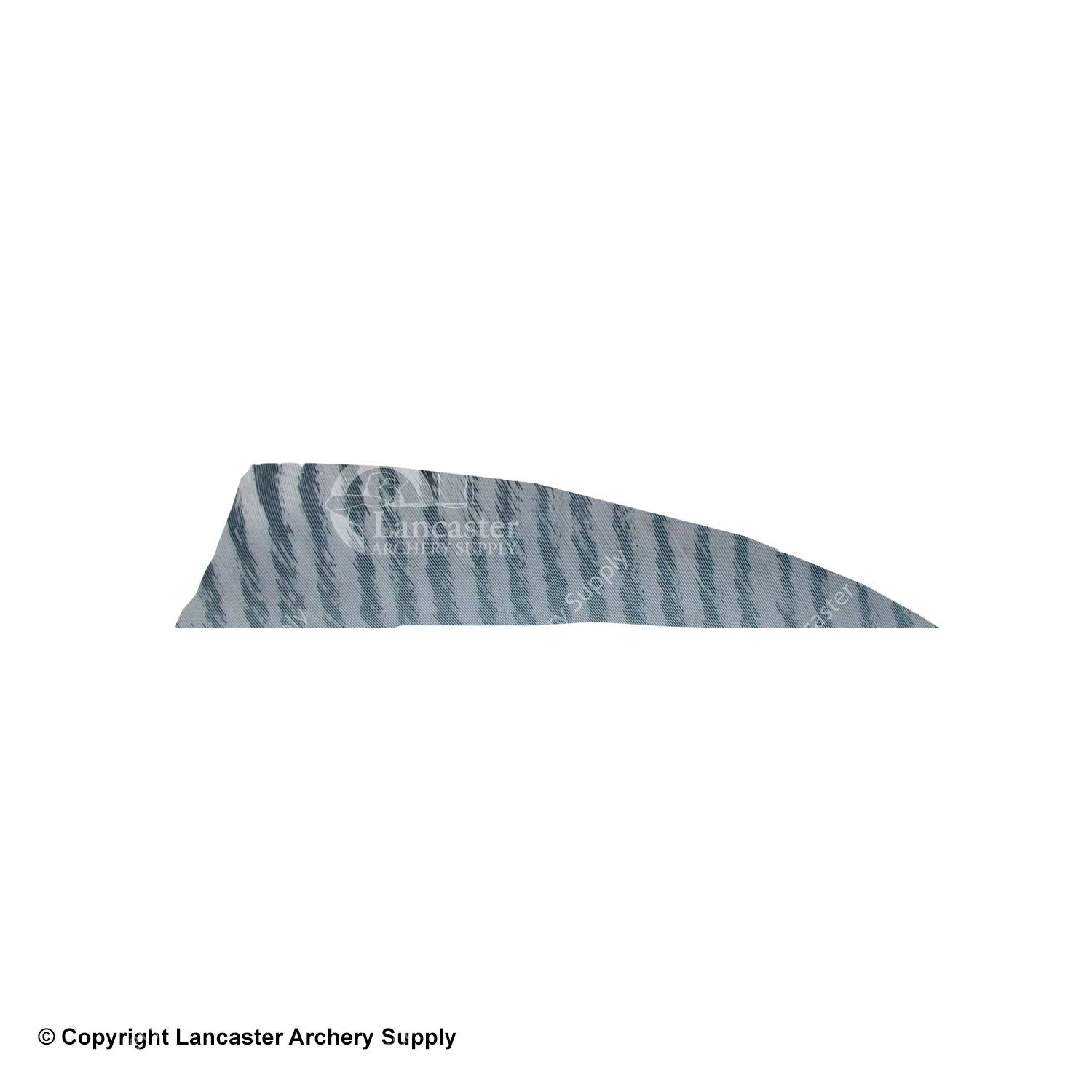 Gateway 3" Shield Barred Feather - Image 8
