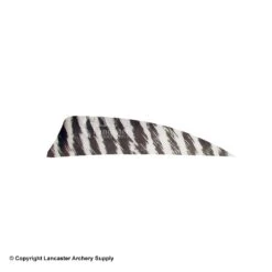 Gateway 3" Shield Barred Feather
