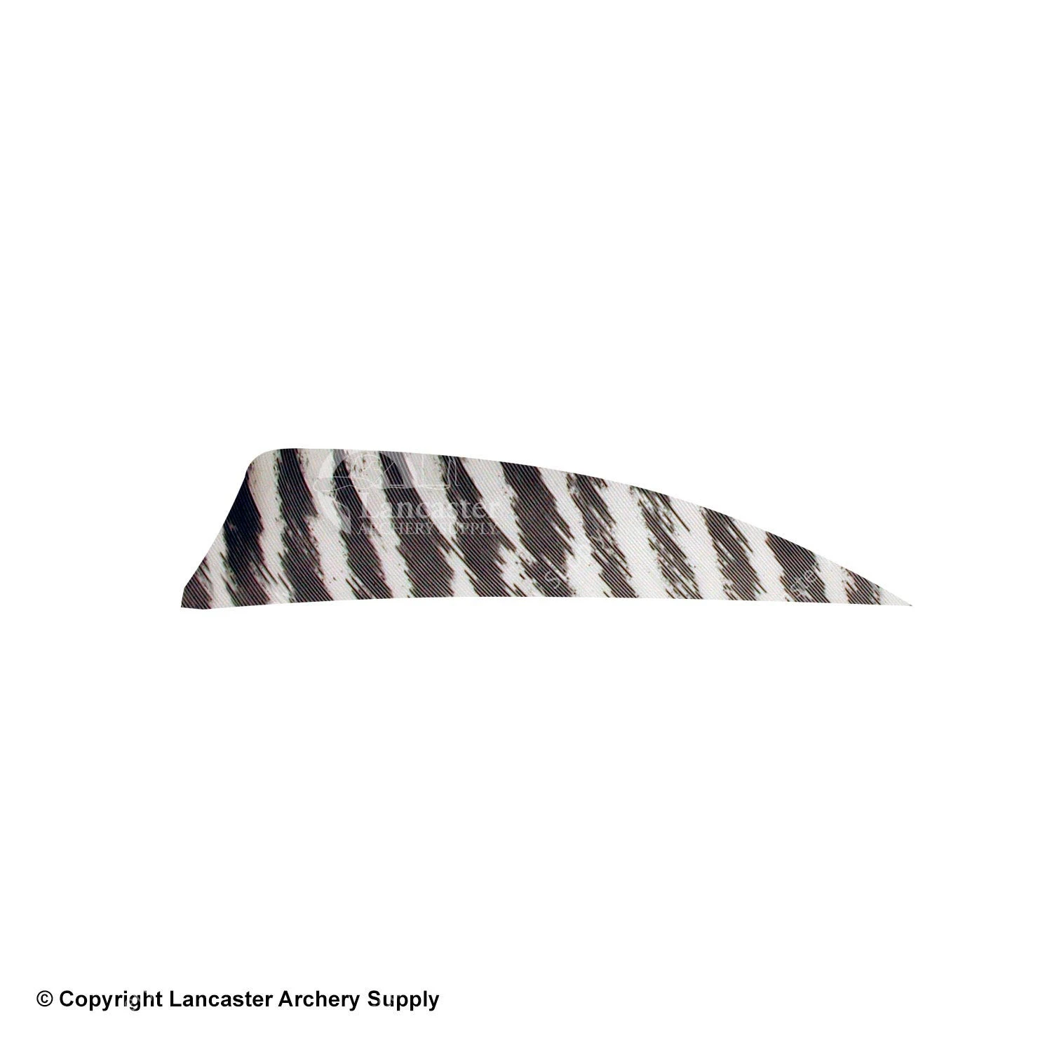 Gateway 3" Shield Barred Feather