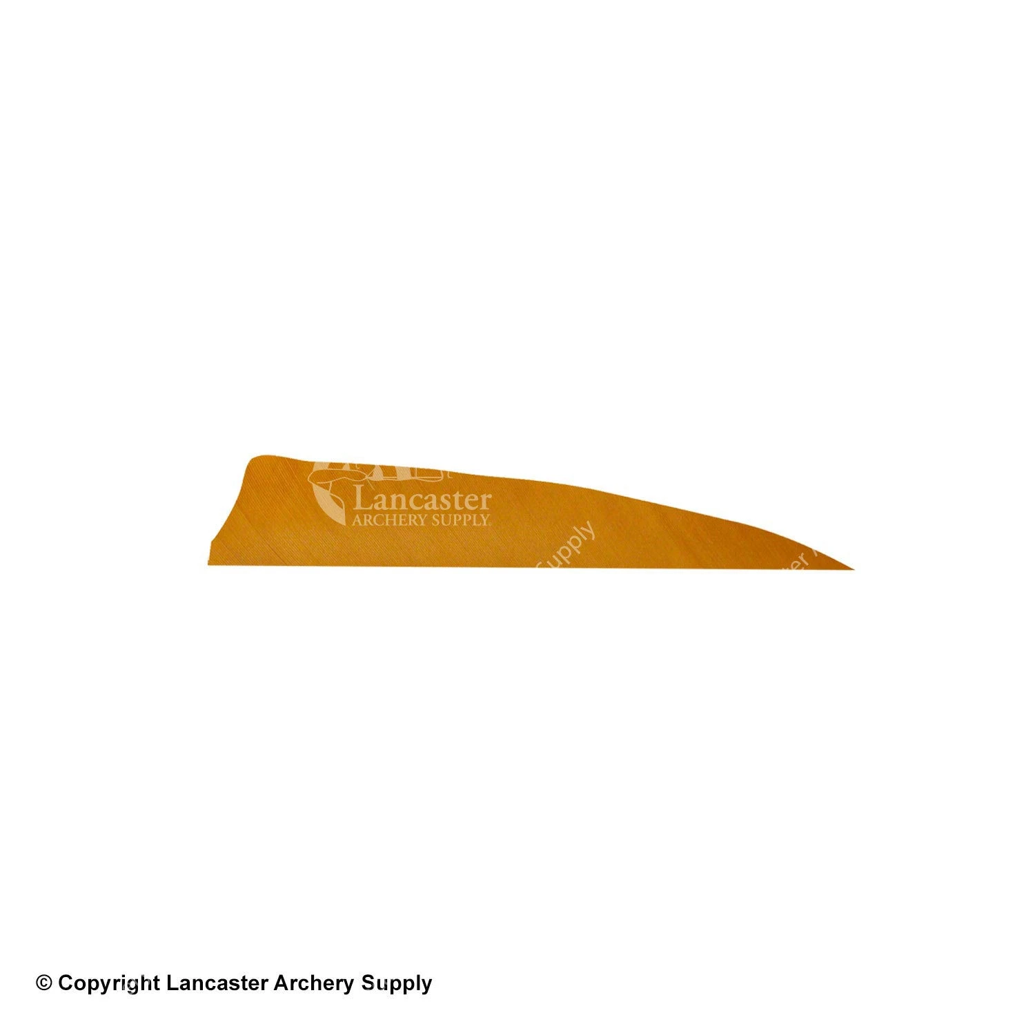 Gateway 4" Shield Feather - Image 4