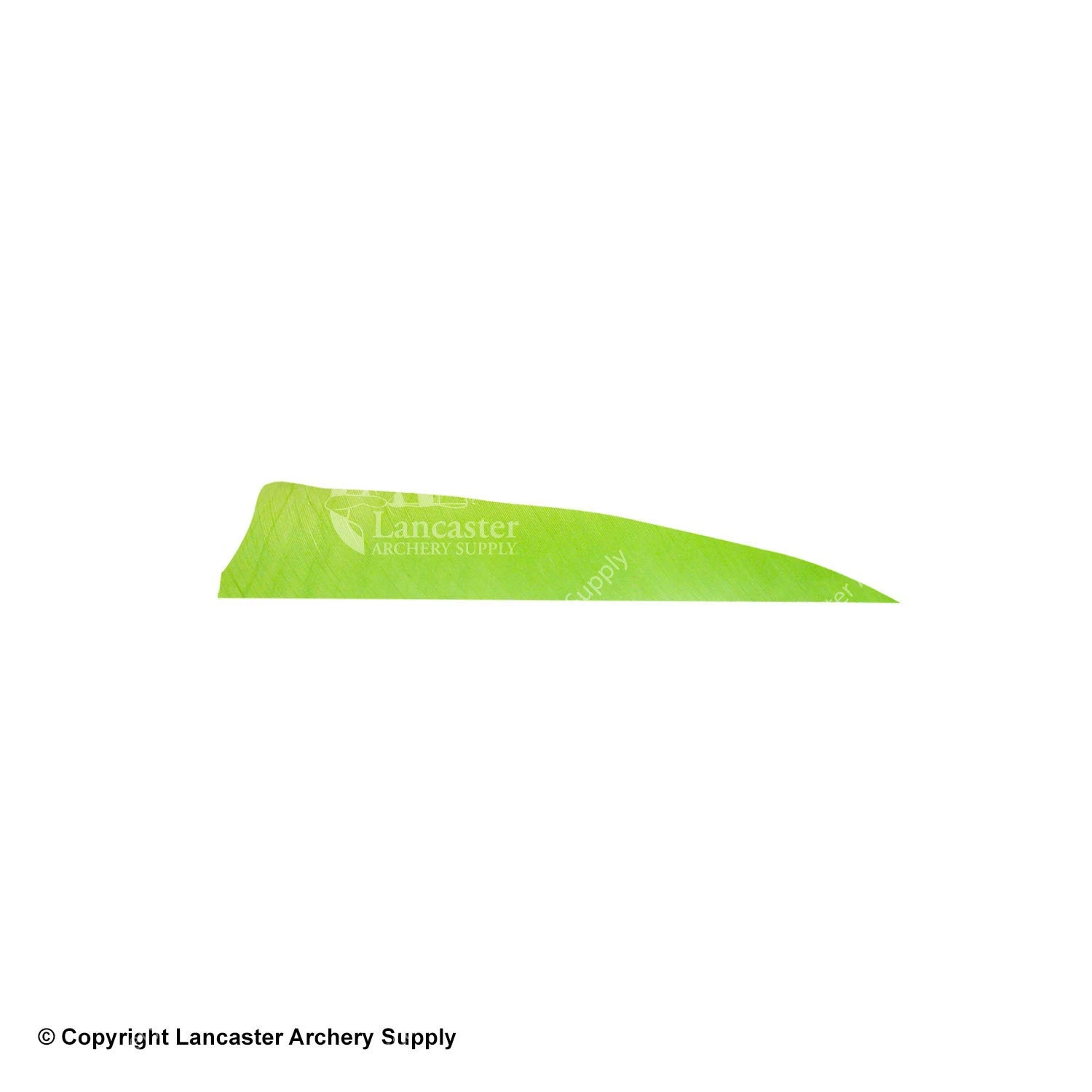 Gateway 4" Shield Feather - Image 3