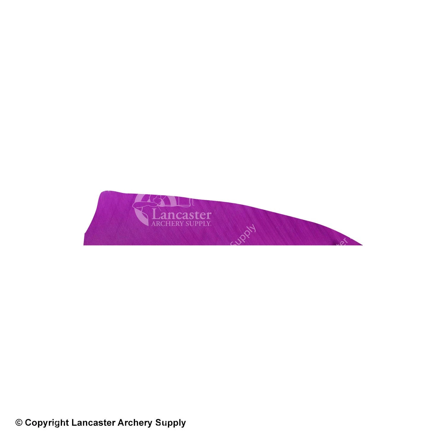 Gateway 4" Shield Feather - Image 16