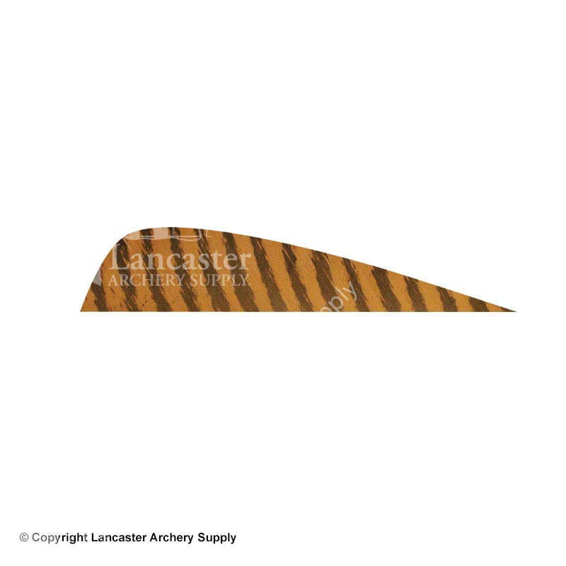 Gateway 4" Parabolic Barred Feather - Image 4