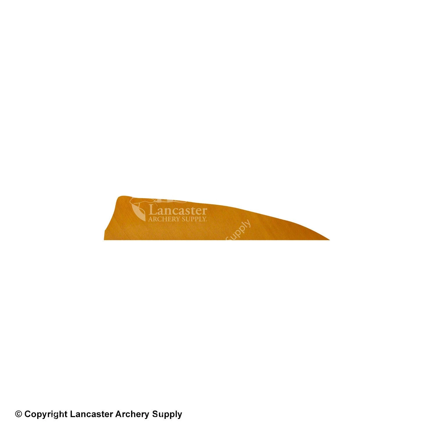 Gateway 3" Shield Feather - Image 5