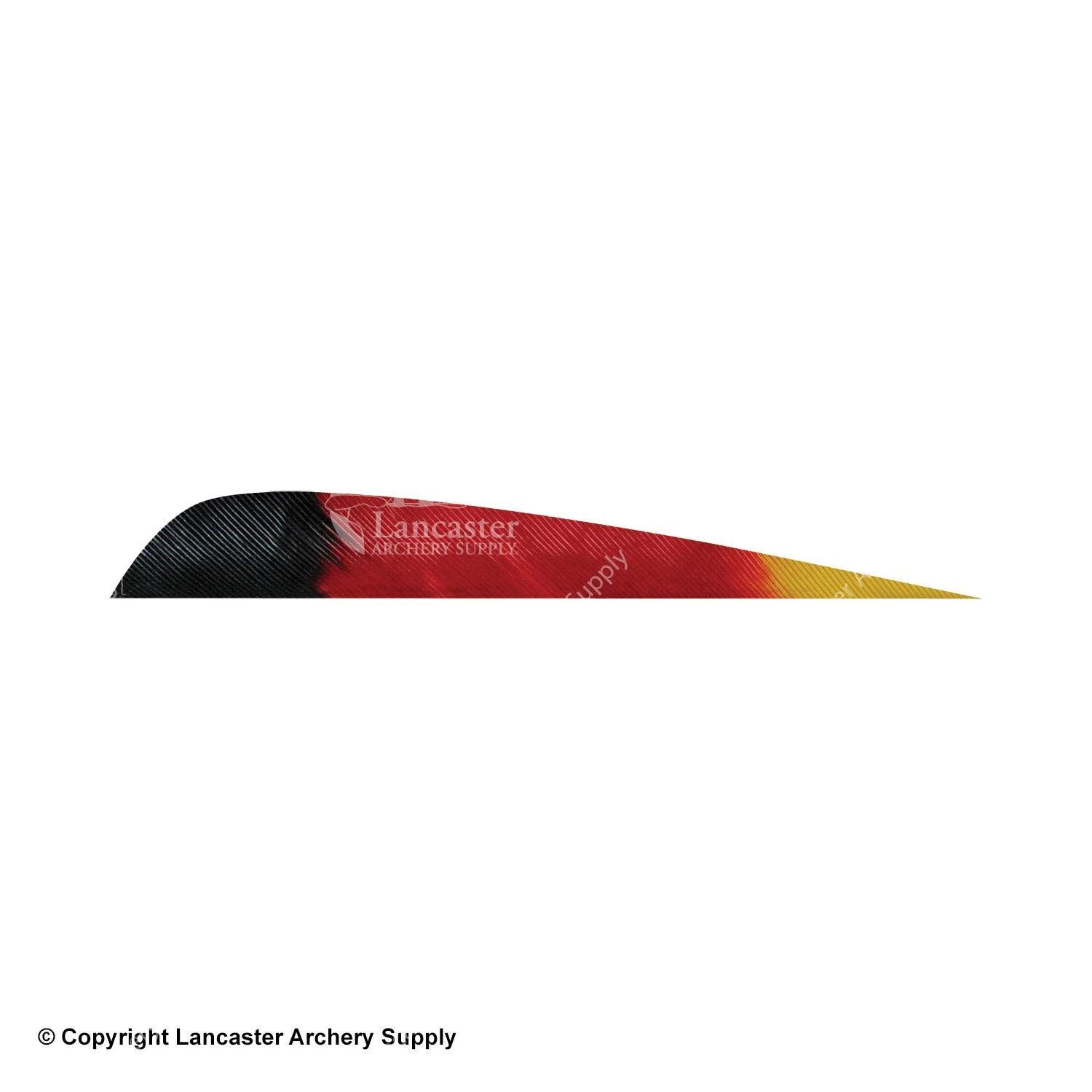 Gateway 5" Parabolic Patriot Feather - Image 2