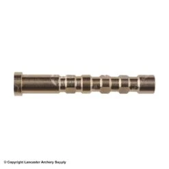 Gold Tip .246 Brass 100gr. Insert