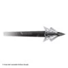 Slick Trick Standard Broadheads (100 Gr.)