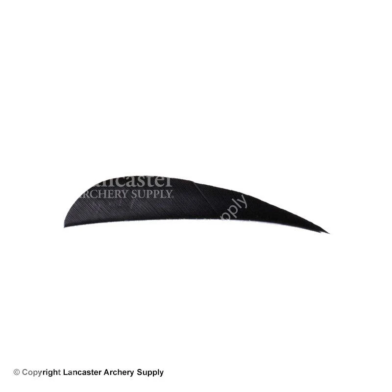 Trueflight 2.5" RW Round Back Feather - Image 9