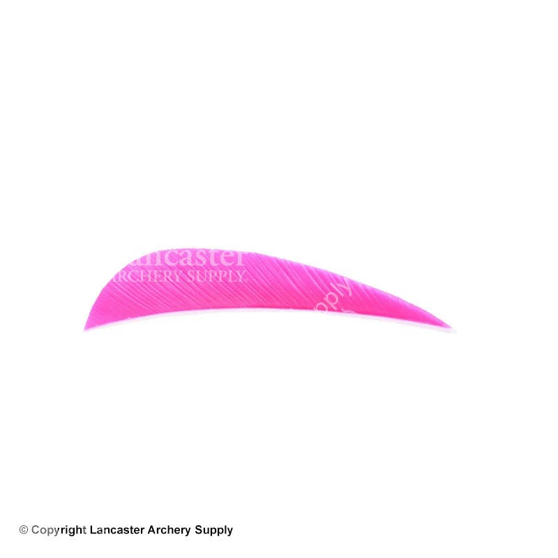 Trueflight 2.5" RW Round Back Feather - Image 2