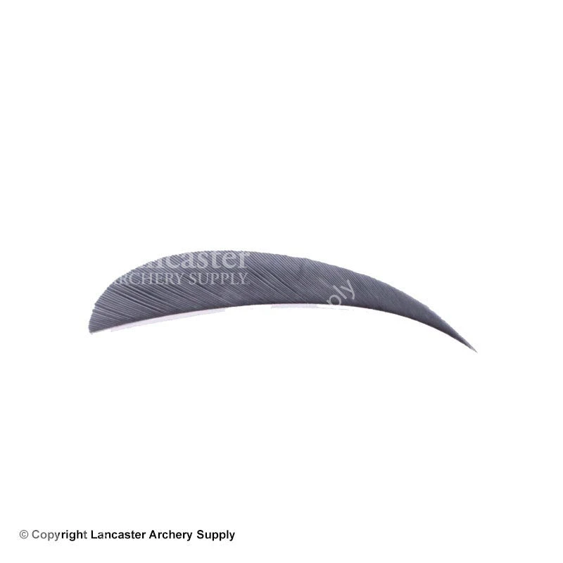 Trueflight 2.5" RW Round Back Feather - Image 12