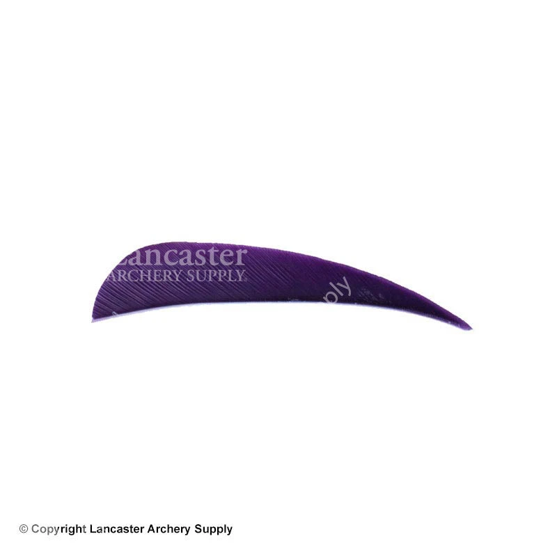 Trueflight 2.5" RW Round Back Feather - Image 13
