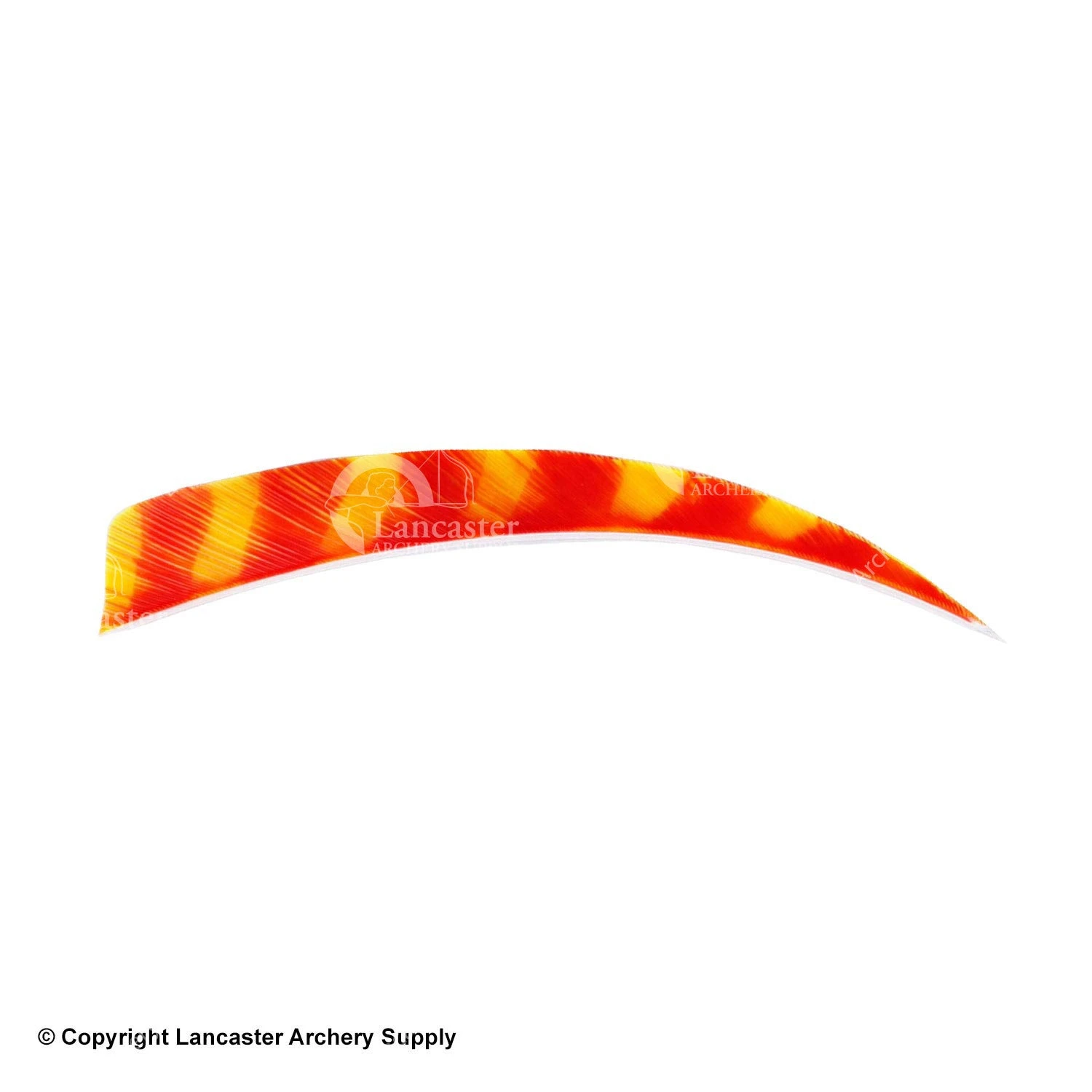 Trueflight Brite Stripes 5" RW & LW Shield Back Feather - Image 4
