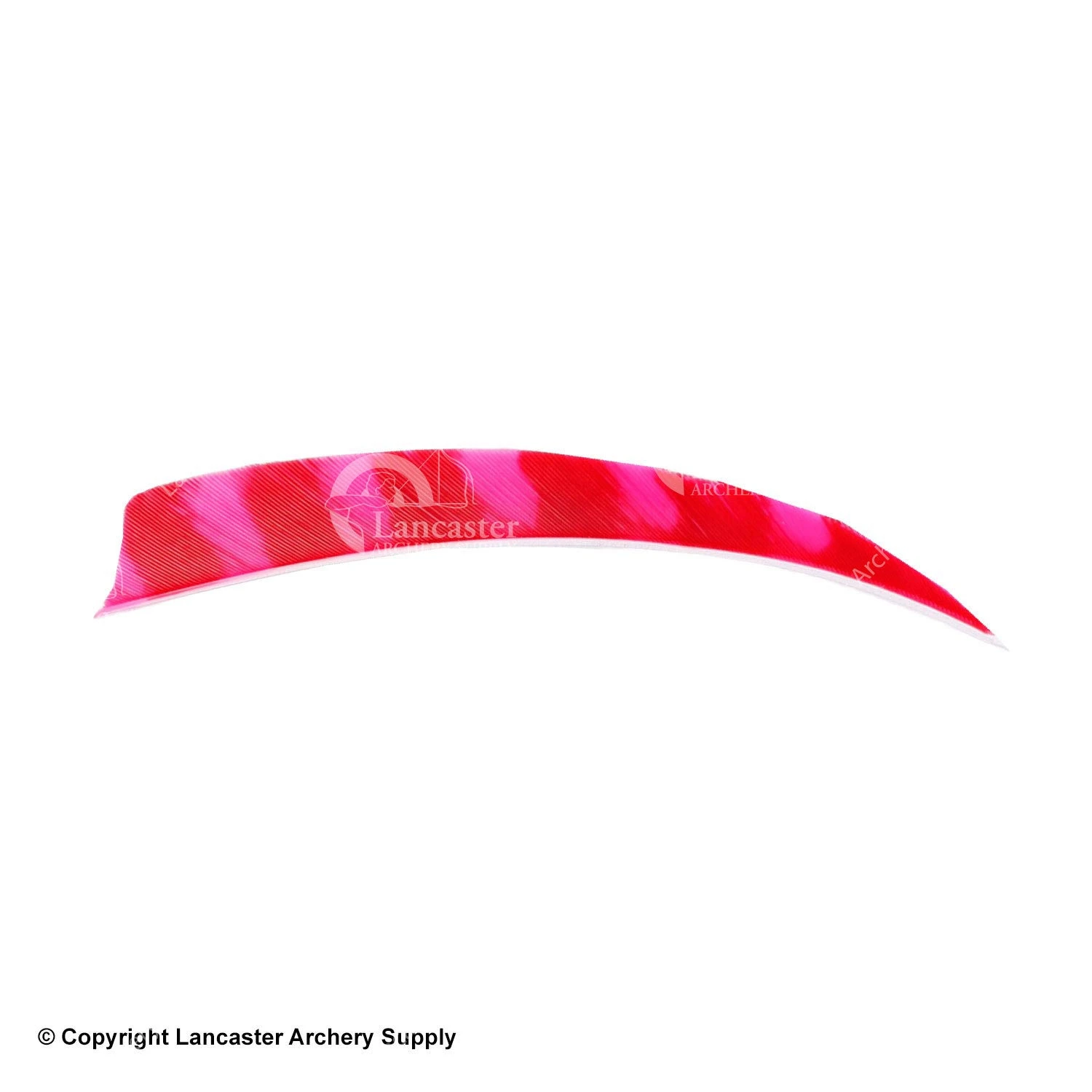 Trueflight Brite Stripes 5" RW & LW Shield Back Feather - Image 3