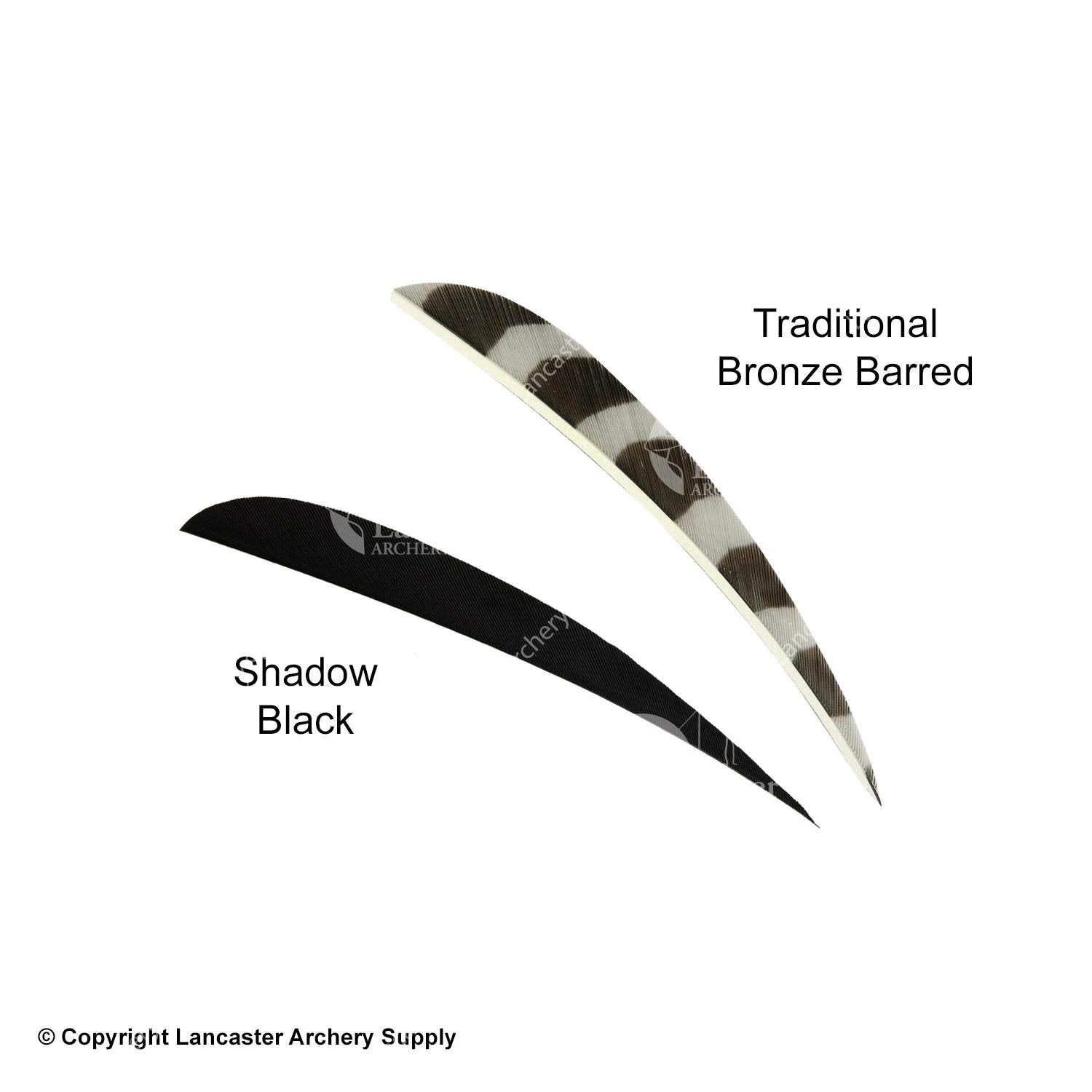 Trueflight 4" Round Back Feathers (18 Count Combo Pack) - Image 9