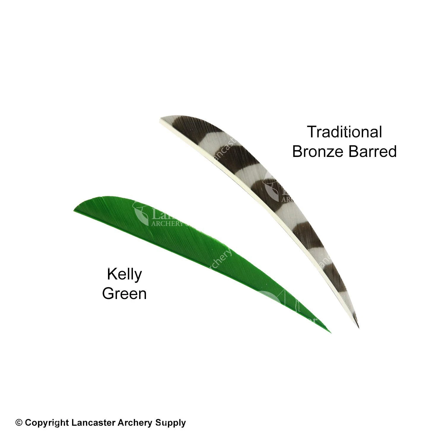 Trueflight 4" Round Back Feathers (18 Count Combo Pack) - Image 7