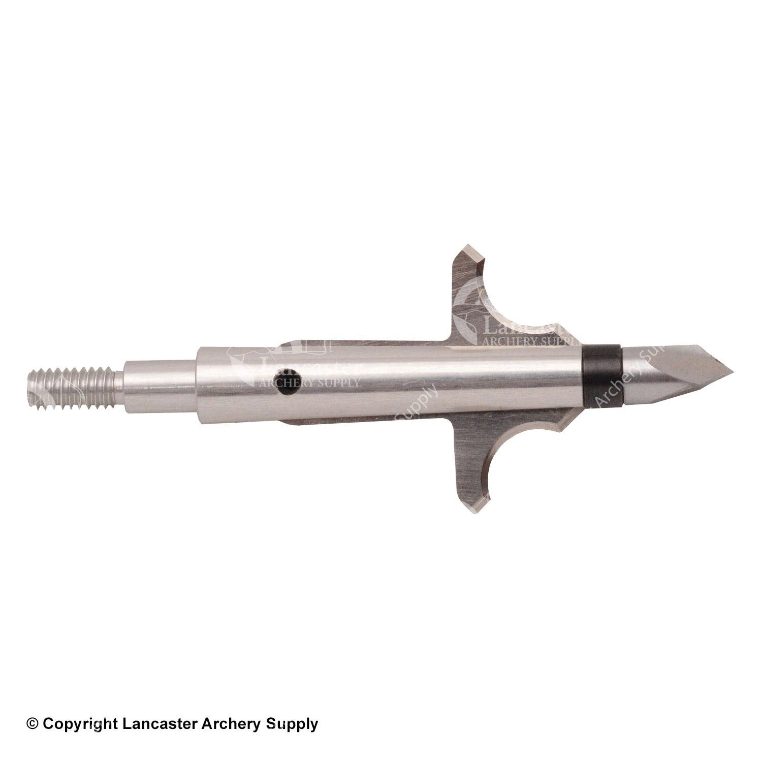 Dead Ringer The Nasty Broadheads - Image 2